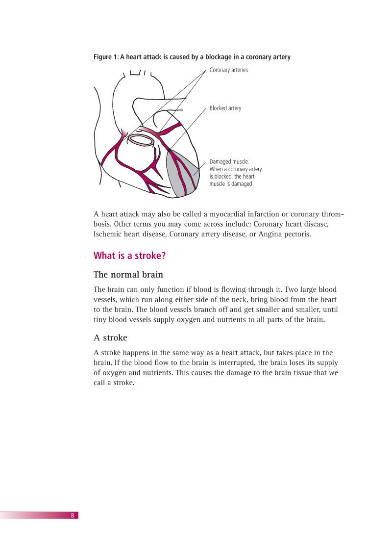Avoiding heart attacks and strokes | Brochure p 10