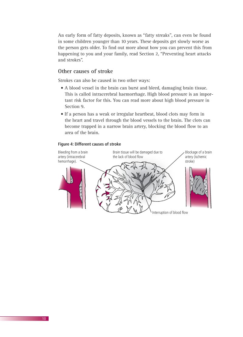 Avoiding heart attacks and strokes | Brochure p 12